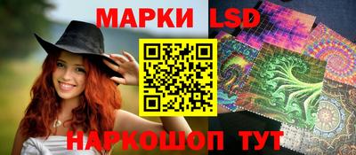 сатива Кингисепп