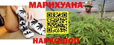 сатива Кингисепп