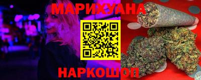 сатива Кингисепп