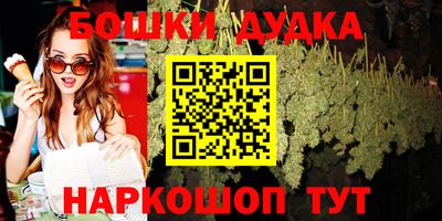 сатива Кингисепп