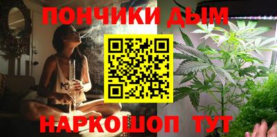 сатива Кингисепп