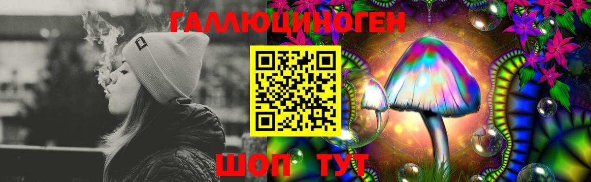Псилоцибиновые грибы GOLDEN TEACHER Краснокаменск